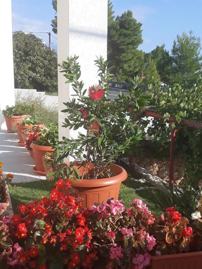 Apartmani Perak Mimice Kültér fotó